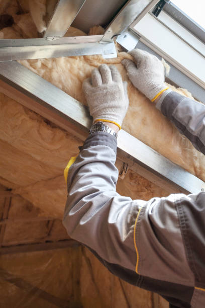 Best Geographic-Specific Insulation Services in Shrewsbury, NJ