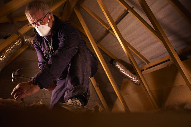Best Insulation Maintenance and Repair in Shrewsbury, NJ